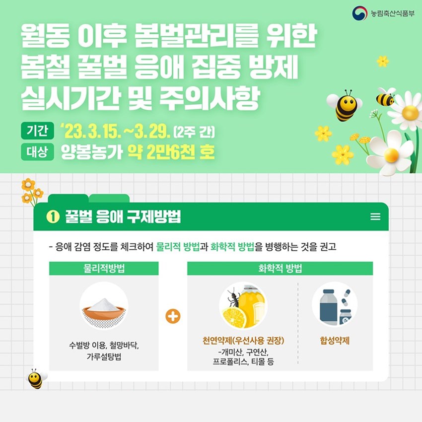 1.봄철 꿀벌 응애 집중 방제! 실시간 및 주의사항을 알려드려요!